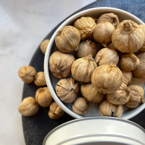 Cardamome Sauvage