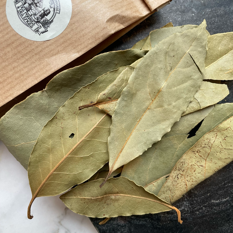 Feuilles de Laurier